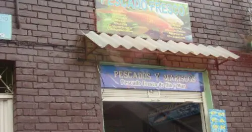 PESCADOS Y MARISCOS BOGOTÁ PESCADOS Y MARISCOS BOGOTÁ